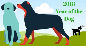 2018 Marks the Year of the Dog, Here's What It Means for You