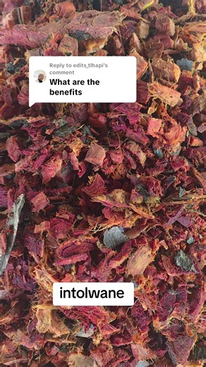 Benefits of Red Herbs for Digestive and Blood Health