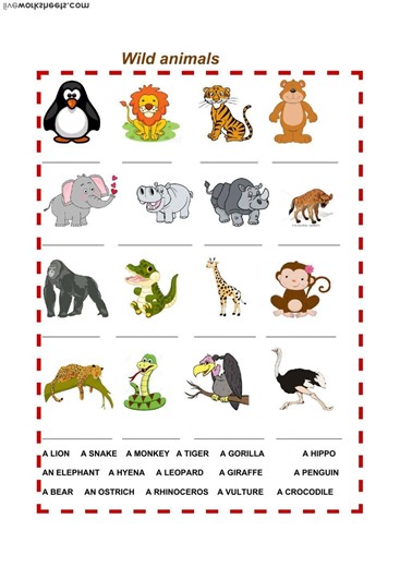 wild animals worksheet