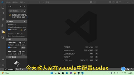 在 VSCode 中配置 Codex：解锁 AI 编程超能力，一键接入 OpenAI Codex，本文手把手教你插件安装、密钥配置，零基础也能快速上手