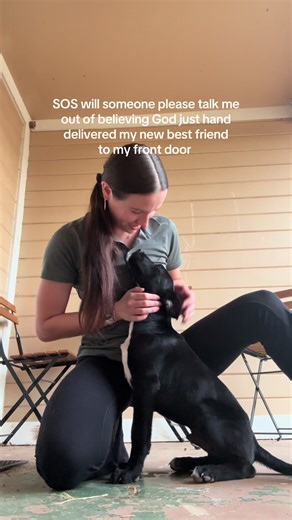 i talked to some of the neighbors that were out before i left for work and they said he’s been roaming the streets for a few weeks now and no one has claimed him. my heart literally cannot handle the idea of him wandering around like that looking for someone to love him :( #dog #straydog #helpme #puppy #fypシ