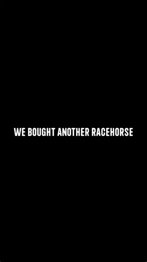 We Bought ANOTHER Racehorse 👀 With a cracking record already, Cold Brew is now the newest member of the Alpha Blokes stable. And he’ll be on sale Friday, the 26th of September at 6PM at mustr.racing Join us in greatness as we continue to grow the stable. Full vlog now live on our YouTube. | Alpha Blokes Podcast