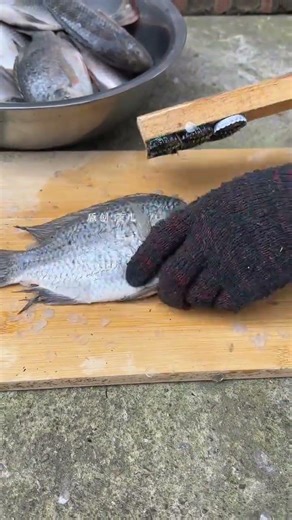 Homemade Fish Scale Magic: Discover the Ultimate Tool