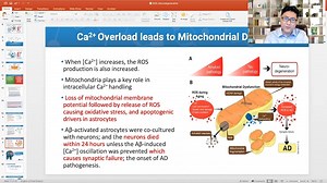 4 comments | Neurodegenerative Diseases & The Calcium Ion Connection Up To 60% Off While Supplies Last ️ End Of The Year Blowout Sale Is On Now 裡 Don't Miss Out ➡️ docofdetoxstore.com | Dr. Darrell Wolfe | Facebook