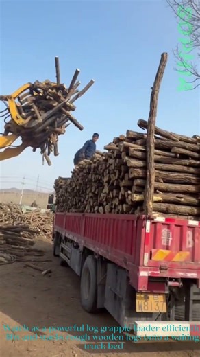 Log Grapple Loader in Action