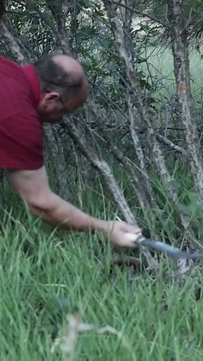 62K views · 867 reactions | Shaping Steel with Purpose – The Billhook Build  | Black Bear Forge | Facebook