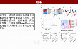 iMeta |齐素华/顾兵/罗兰/王亮揭示玛咖来源细胞外囊泡可通过脑-肠轴促进五羟色胺释放改善抑郁症