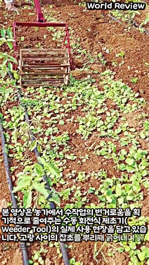 실제 현장에서 사용하는 수동 회전식 제초기 #worker #process #tools #farming #garden