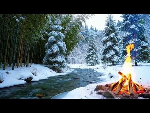 ❄️ WINTER FOREST ATMOSPHERE — Gentle Bird Soundscape for Calm, Sleep & Deep Breathing