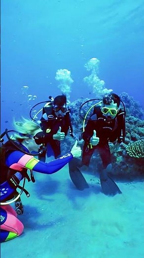 Divers Explore Coral Reef Paradise! #Diving #CoralReef #Underwater #ScubaDiving #Ocean #MarineLife