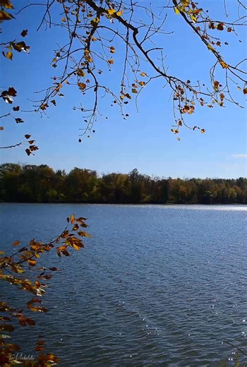 A very windy and bright day at Delaware State Park's lake. And you may be able to hear the wind over the microphone's covering; it may have been keeping even the Bald Eagles at bay. | Scene In Ohio