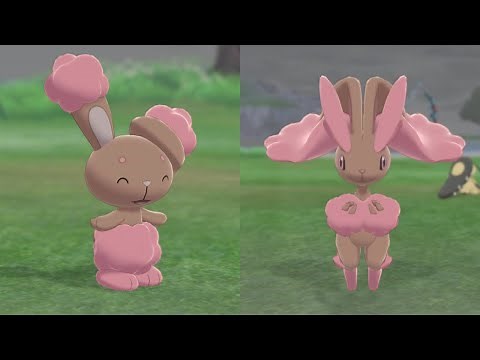Shiny Lopunny - Pokémon Shield