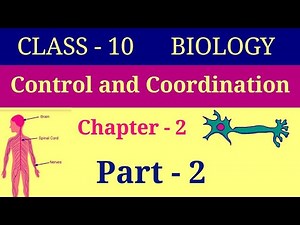 Control and coordination class 10 | Class 10 biology chapter 2 | Control and coordination in hindi