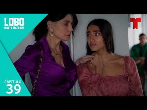 Lobo Morir Matando | Capítulo 39: Rivales enfrentadas | Telemundo Series