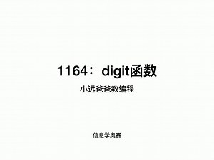 信息学奥赛 1164-digit函数