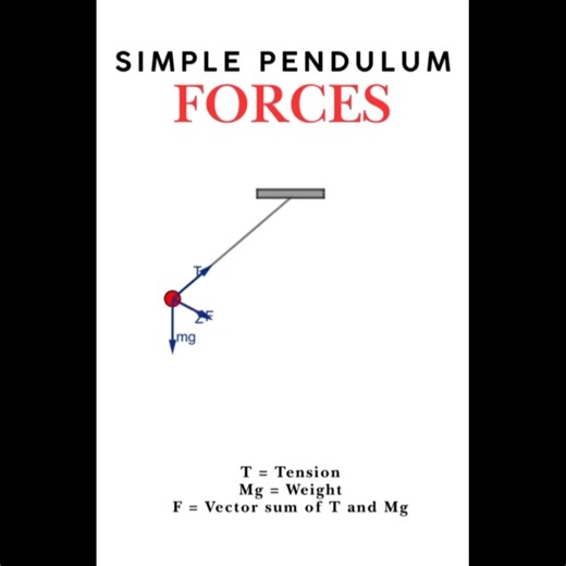 Ciencias TV on Instagram: "Fuerzas en el péndulo simple #Física #Movimiento #péndulo #simple #Oscilación 🎞️ Saket Trivedi"