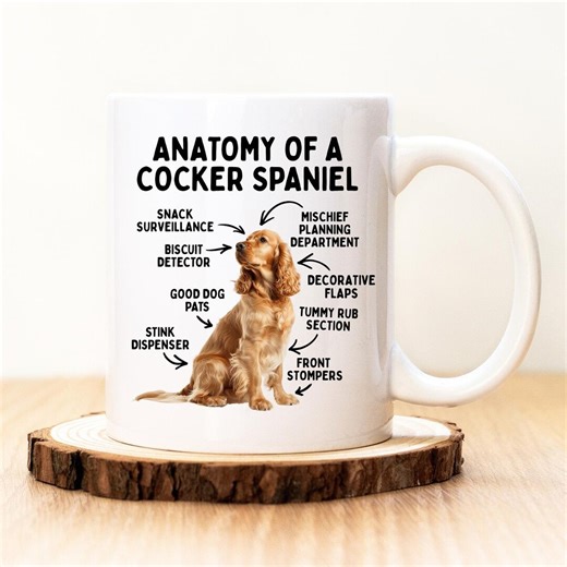 Anatomy of a Cocker Spaniel Mug – Funny Spaniel Gift, Cocker Spaniel Lover Mug, Dog Owner Coffee Cup - Etsy