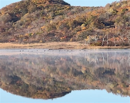 七海 nanami on Instagram: ". 12/23（火）21:00〜 NHKにっぽん百名山 ｢宝の山は秋の彩り〜磐梯山〜」 に出演します！ 登山ガイドの父に教わりながら、山に親しんできましたが 昨年実はガイドの資格を取得しました！ こうして番組を通して山の魅力をお届けできること、とても嬉しく ありがたい気持ちです。 登った山は、福島県にある磐梯山。 噴火で一度はゼロになったところから、力強く再生してきた山なんです。自然のたくましさと生命力が大迫力で迫ってきます〜！ 秋の彩りと、色んな表情をもつ磐梯山を ぜひ一緒に楽しんでいただけたらうれしいです！🍁⠜ 【放送予定】 ● BSP4K ・本放送：１２/２３（火）２１：００〜 ・再放送：（木）８：００〜 ・再放送：翌（月）１２:３０〜 ● BS ・本放送：１/５ （月）１9：３０〜 ・再放送：１/８ （木）１２：００〜"