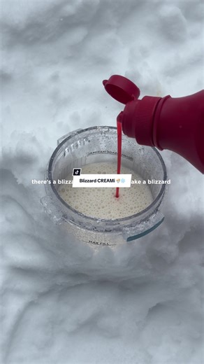 If you’ve got fresh powder & a pint, make this. ❄️🍨 #NinjaCREAMi #Blizzard