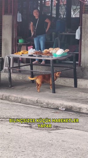 Insanlar Yalan Söylediğinde Bunu Yaparlar #yalan #sosyal #psikoloji