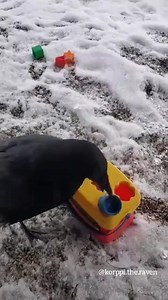 What a genius | Extra-math