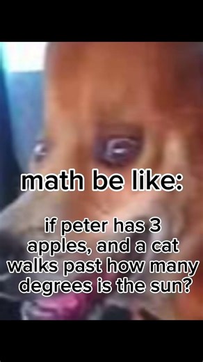 math be like…