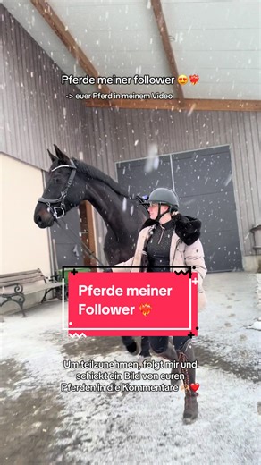 Die schönsten Pferde meiner Follower zeigen ❤️