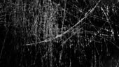Looping texture boil of scratches on metal best used with add, screen...