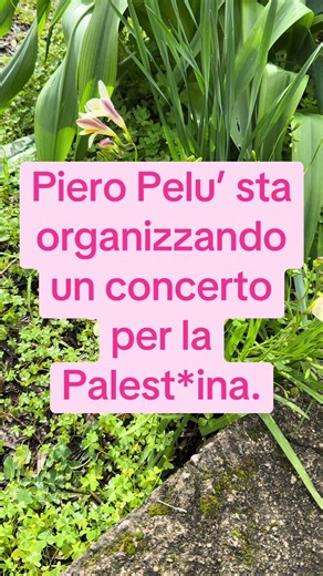 Piero Pelu’ sta organizzando un concerto per la Palest*ina.