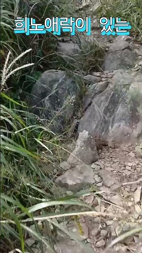 🏞오서산자연휴양림(충남보령.국립)오서산자연휴양림 홈페이지 검색(예약 필수)~