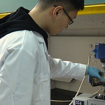 Video: Polyethyleneimine-coated Iron Oxide Nanoparticles as a Vehicle for the Delivery of Small Interfering RNA to Macrophages In Vitro and In Vivo