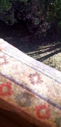 Medicina Anscestral Mapuche Mapu Lawen on Reels