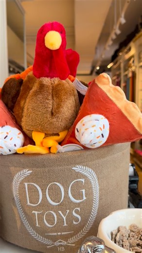 Happy November! #dogtoys #nyc | Cady McClain