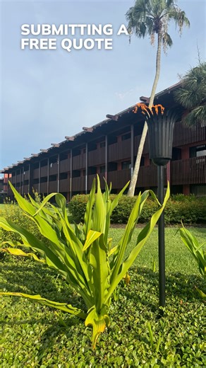 DVC Rental Store on Instagram: "What happens after submit a free quote for your Disney Vacation?🤔 Here’s the behind-the-scenes process with DVC Rental Store 👇 ✨ You submit a free quote ✨ Our team checks real availability for your dates ✨ If available, we reach out so you can place a $100 deposit ✨ We match your request with a verified DVC member who books the stay on your behalf Some reservations are claimed quickly, others take a little more time — but our team is actively working your reques