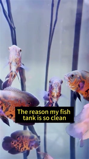 Snip to Fit Your Filter, Get Crystal Clear Water | Rivvya Filter Floss