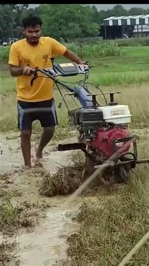 Field preparation | Village Life #naturelovers #villagelife #fieldpreparation