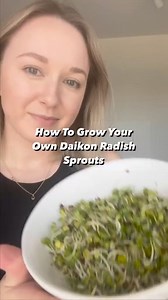 Time to prep the daikon radish sprouts! 🌱🌱🌱 Just 2 tbsp of sprouts make the full jar of goddness 💚 What kind of spr | Kian Hamilton