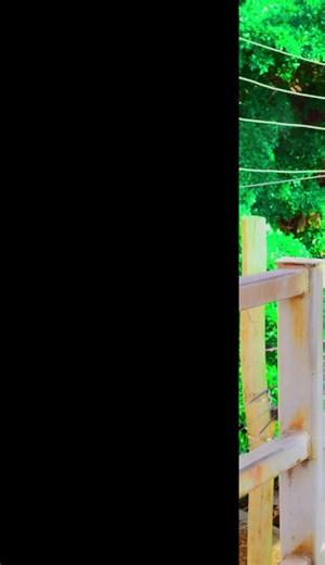 Exploring Catholic Dance Traditions in Tchad