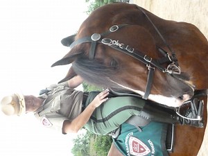 Houghton's Pond Cool Summer Fun Festival