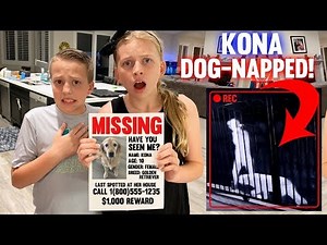 Someone Took Our Dog! || Mommy Monday