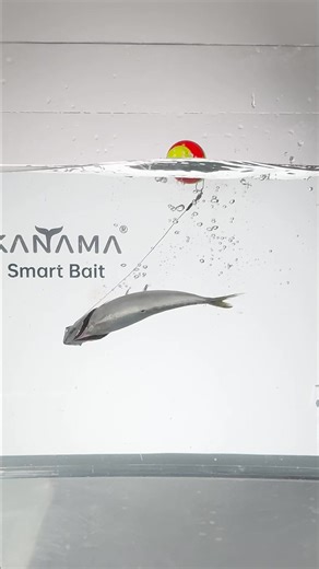 Kanama Smart Bait – Electronic Robotic Lure That Replaces 🐟Dead Bait Revival Tech | Dynamic Live Fish Simulation 🔊Acoustic Fish Attraction | 500m Waterproof Depth ✅30-Days Refund ✅Only Today Worldwide Free Shipping 🚚✨ 🛒www.kanama.com | Kanama