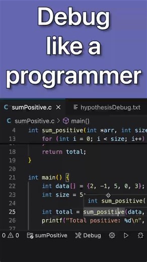 How To Debug Like a Real Software Developer 😎