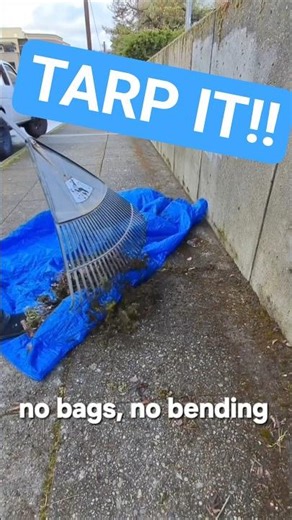 no heavy barrels, tarp to bin, save ur back, save a bag, drag it, roll it, ez peazy #tarp #mowshay