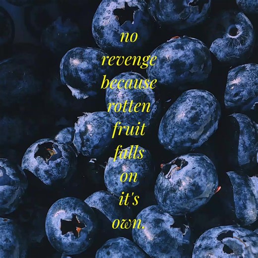 class over conflict. #fyppppppppppppppppppppppp #foryou #foryoupage #quotes