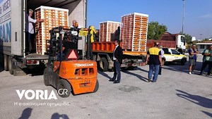 dorean-dianomi-rodakinon-simera-sto-limani-tis-thessalonikis