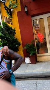 Para las modelos de #medellin ❤️🙏🏿☺️ #modelos #modelosnuevos #modelaje #modelajemasculino #modelajeprofesional #modelajeinfantil #modeloscolombianas #Modelos2024 #modelostop #medellincolombia #medellinantioquia #medellinlaciudaddelaeternaprimavera #MedellinDeBravo #medellintattoo #medayork #medallo #medalloenelmapa #medallocity #freestyle #raperos #Dembow #fypシ #viralchallenge #viral2025 #viralpost2025シ | Teno Alvarez