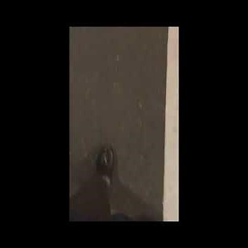 さとう。- 3%【lyric Video】