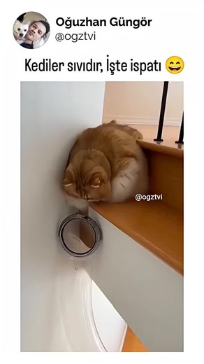 Exploring the SmartBot with Tech Magic Innovations