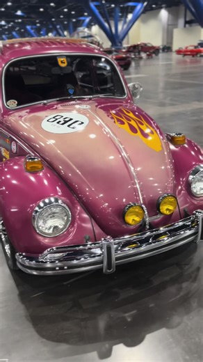 1970 VW Bug Contest Highlights on TikTok