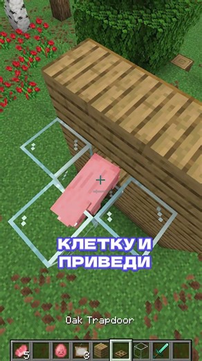 ЖИВАЯ КАРТИНА В МАЙНКРАФТ #майнкрафт #minecraft #shorts